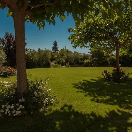 Rodoula In Mystras * Sparta