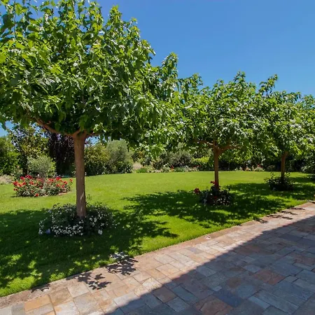 Rodoula In Mystras Sparta