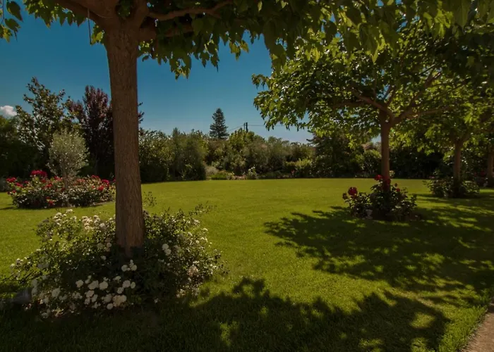 Rodoula In Mystras * Sparta