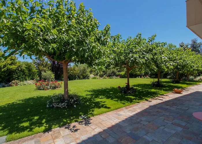 Rodoula In Mystras Sparta